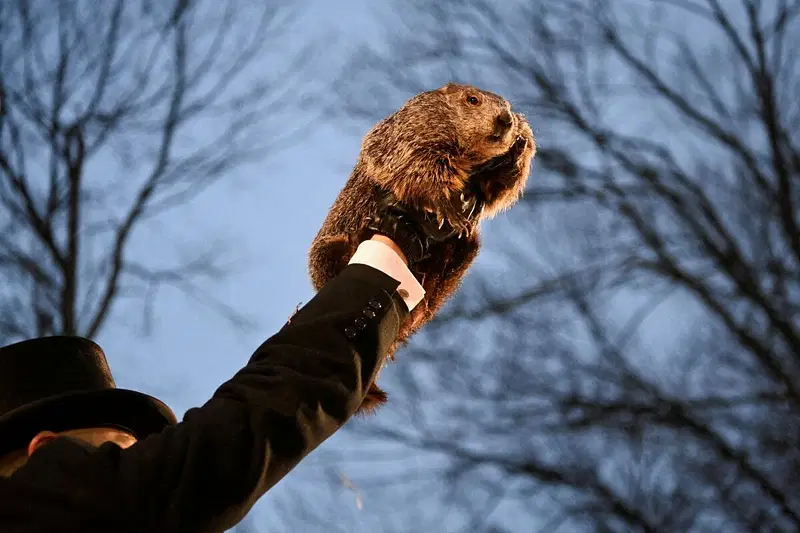 What Time Is Groundhog Day 2025 Lok Sabha