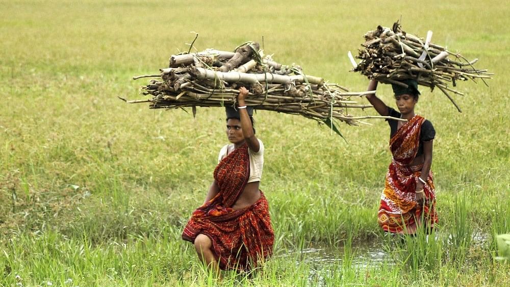 Budget 2024 | Modi govt's allocations to Agriculture Ministry over last five years