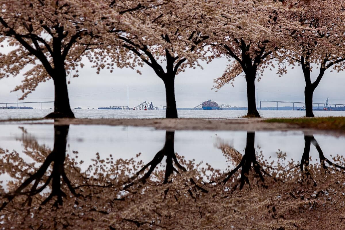 The collapsed Francis Scott Key Bridge is seen from Fort McHenry in Baltimore, Maryland