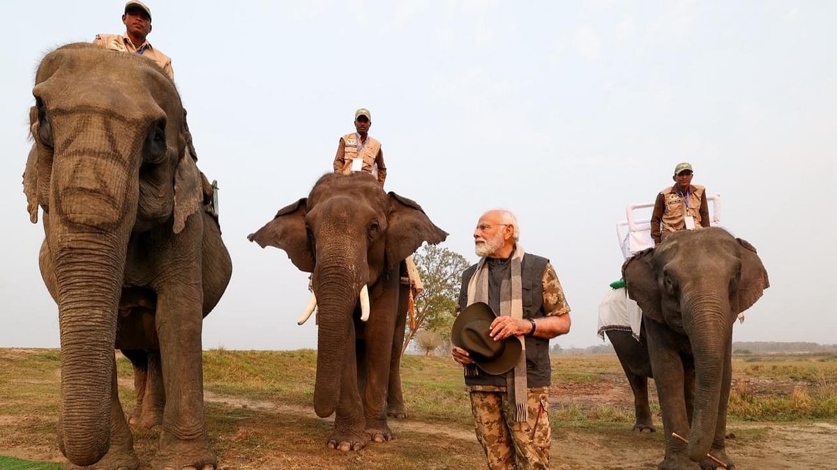 Prime Minister Narendra Modi, who is on a two-day visit to Assam, took some time off from the busy schedule and visited the Kaziranga National Park, a UNESCO World Heritage.