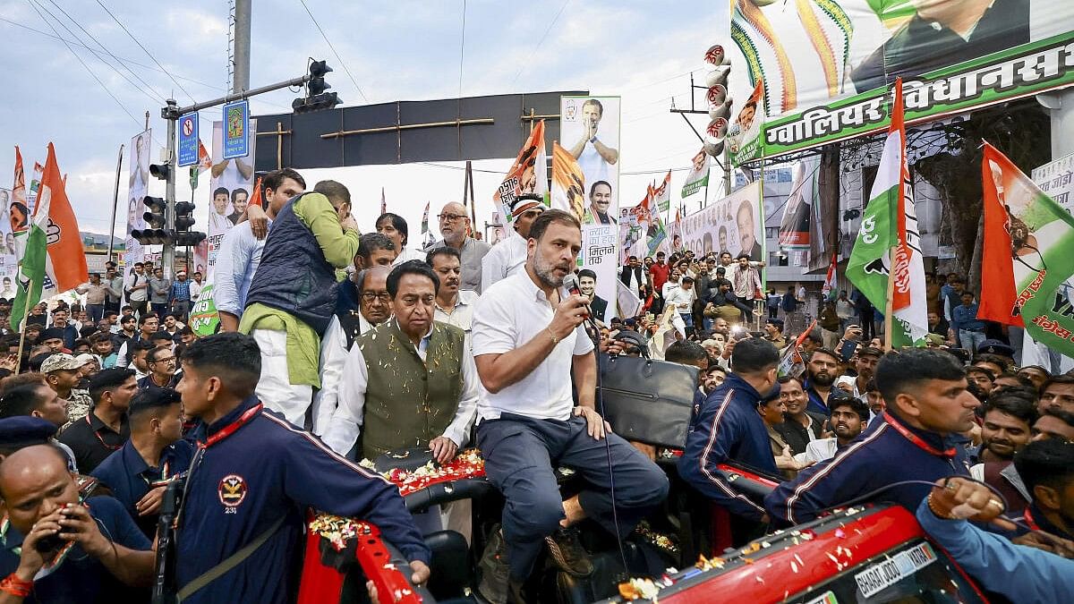 Rahul's yatra to cover over 650 km in Madhya Pradesh; focus likely on tribals, farmers over 4 days in state