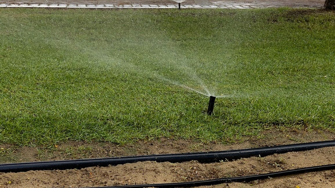 How soil moisture sensors can help irrigation in summer