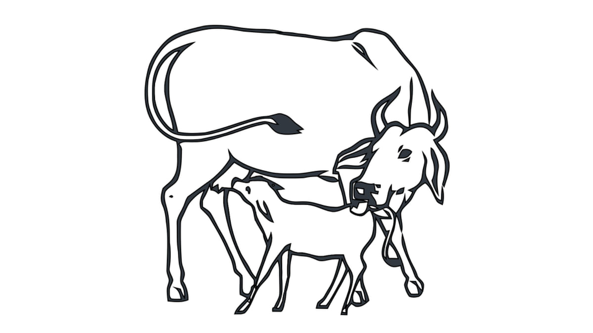Lok Sabha elections 2024 | Trivia: Why the 'Cow and Calf' symbol granted to Indira-led Congress stirred controversy