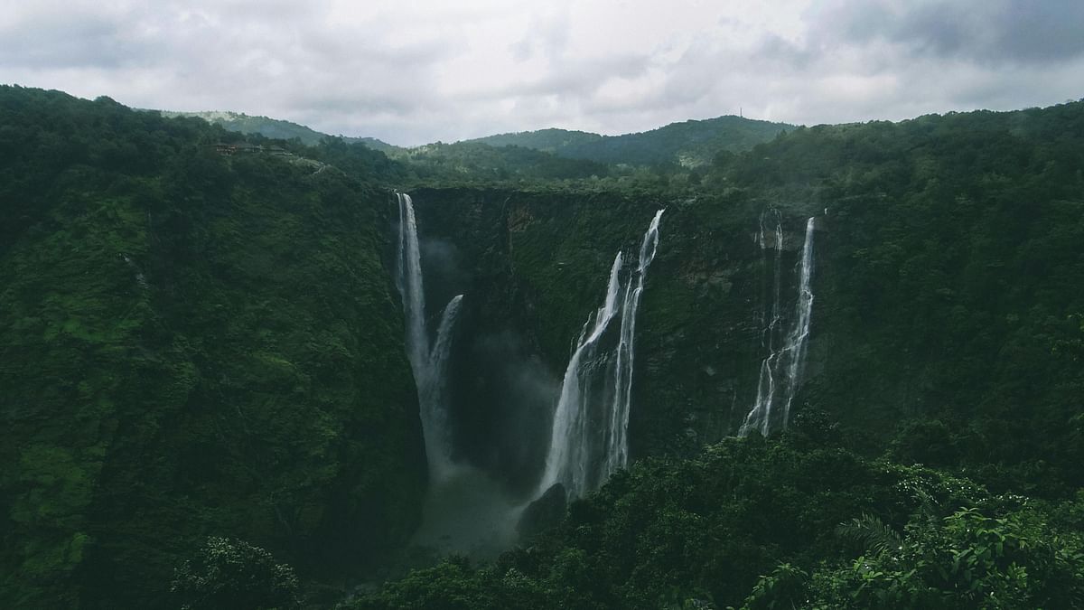 Coorg, Karnataka: Plan a trip to the tranquillity of coffee plantations, waterfalls, and lush greenery in the Western Ghats away from the city hustle.