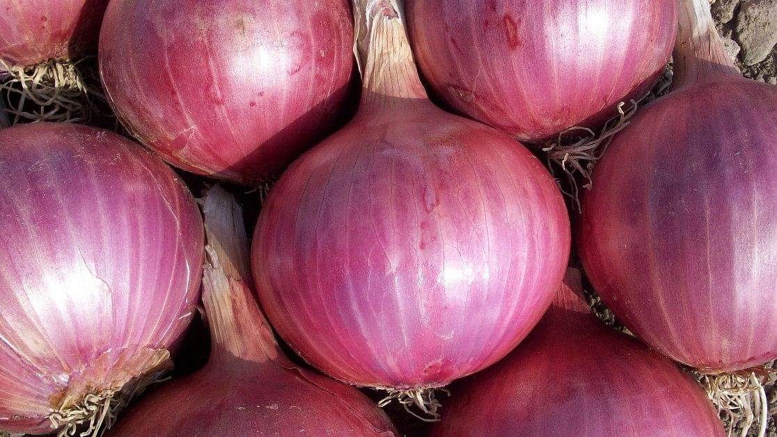 India extends ban on onion exports indefinitely ahead of general elections