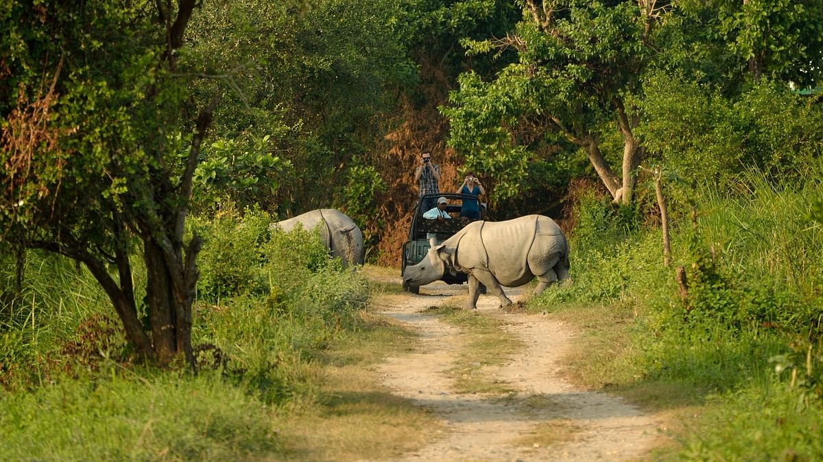 All-woman team keep poachers at bay in Assam's Kaziranga