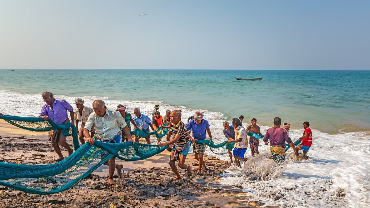 16,000 kg illegal shark fins seized in 12 years; Tamil Nadu tops trader, Karnataka second 