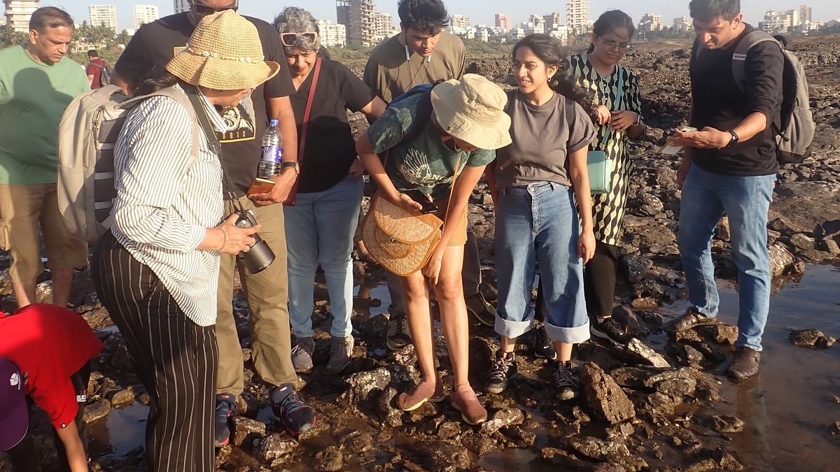 Bombay Natural History Society hosts walk exploring marine biodiversity
