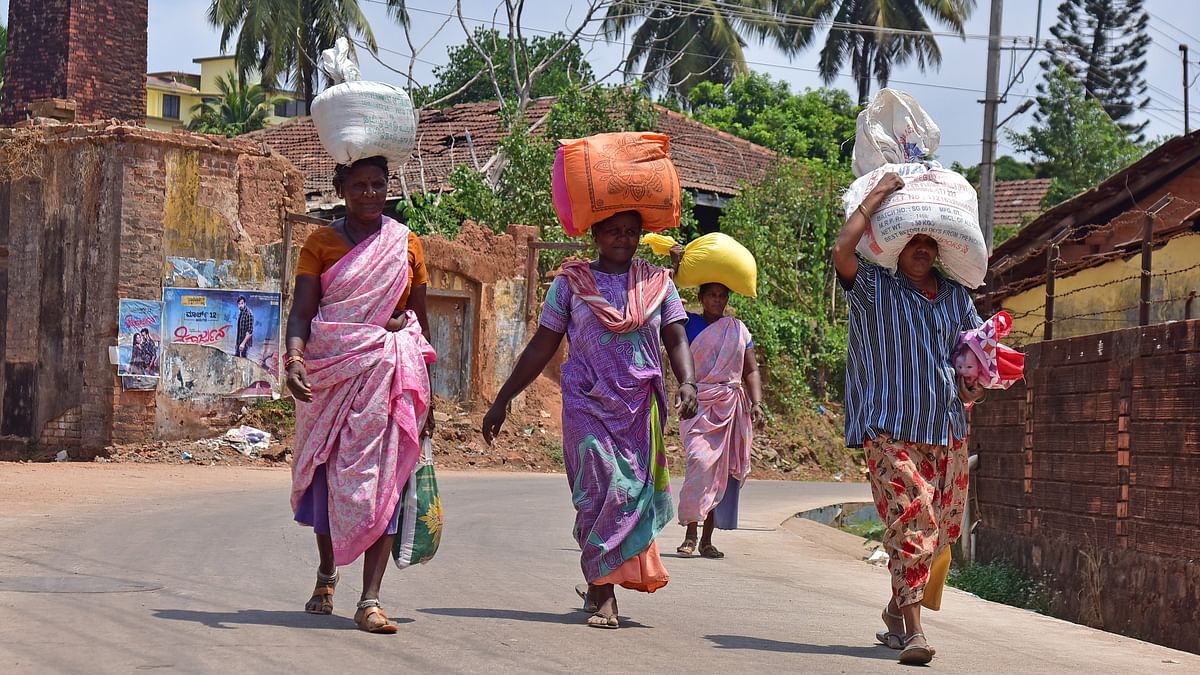 India’s widening economic disparity, food security