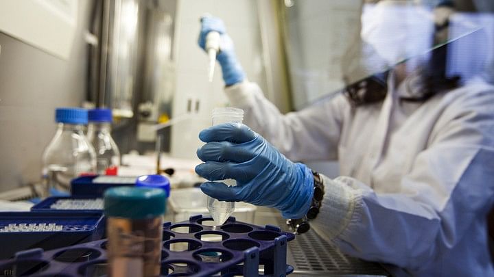 Scientists find potential new drug target to prevent Ebola