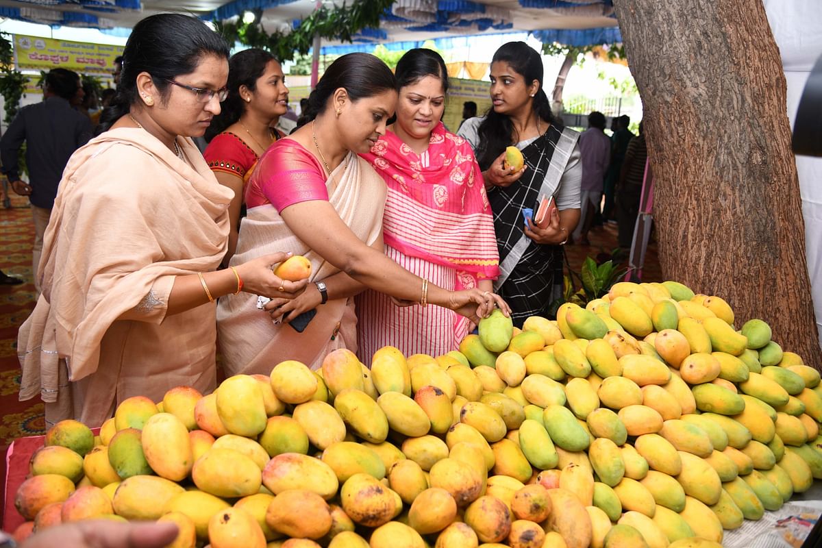 Consumers seeing Kesar Mangoes in Mango Fair (Maavu Mela) organised in Koppal recently