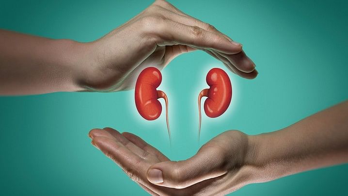 Financially strapped Bengaluru CA attempts to sell kidney, duped of Rs 6.2 lakh: Report