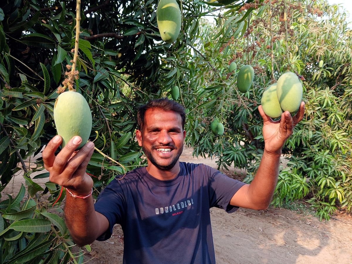 Farmer Venkatesh Marathi of KalluTavaragere village in Koppal district