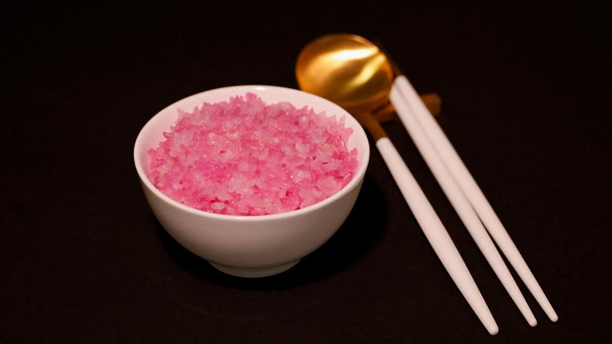 South Korea scientists tout 'beef rice' as source of protein for the future