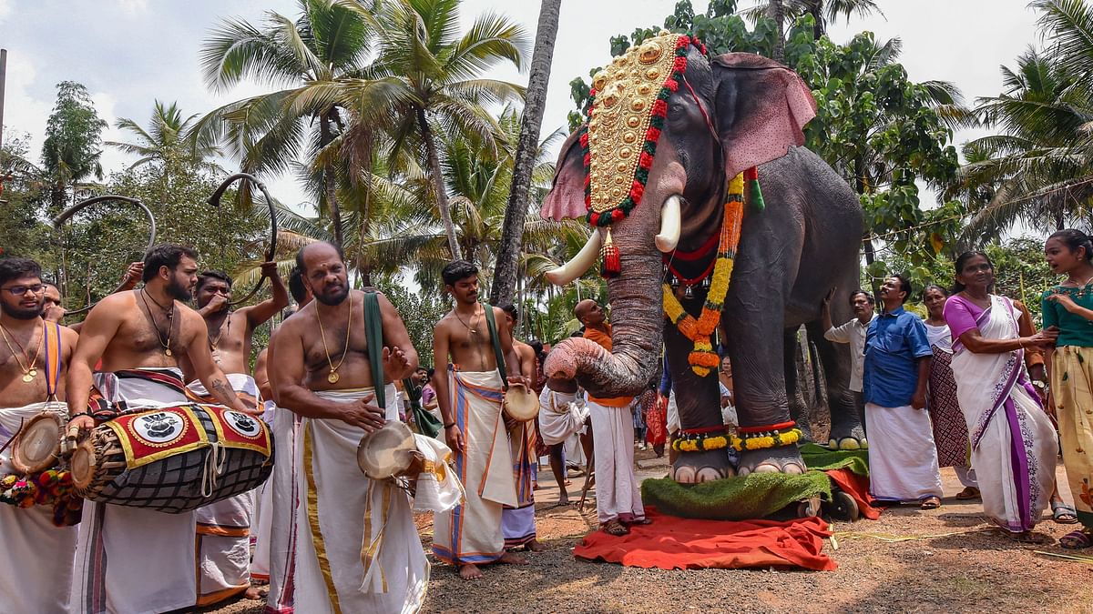 PETA, actor Priyamani donate mechanical elephant to Kerala temple