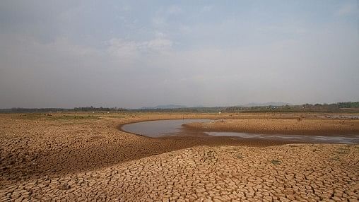 East flowing rivers between Mahanadi & Pennar basins have no water at present: Official data