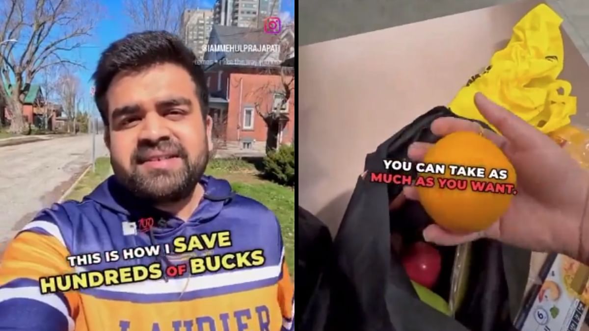 Watch | Indian data scientist raids food bank in Canada, gets fired from his job after uploading video
