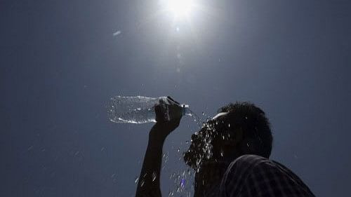 Heatwave: Congress urges Kerala govt to provide financial assistance to families of deceased