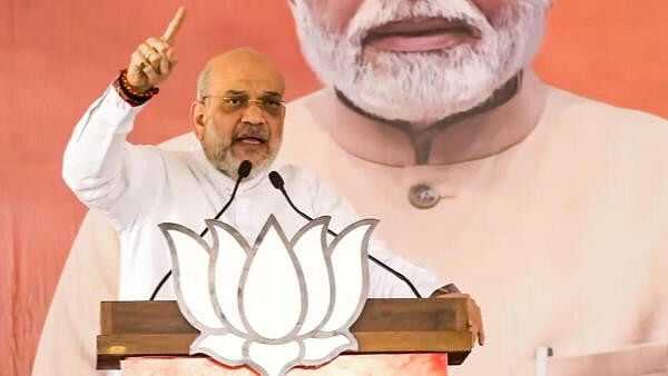Lok Sabha elections 2024: Congress-SP combine wiped out in first phase, says Amit Shah in Mathura
