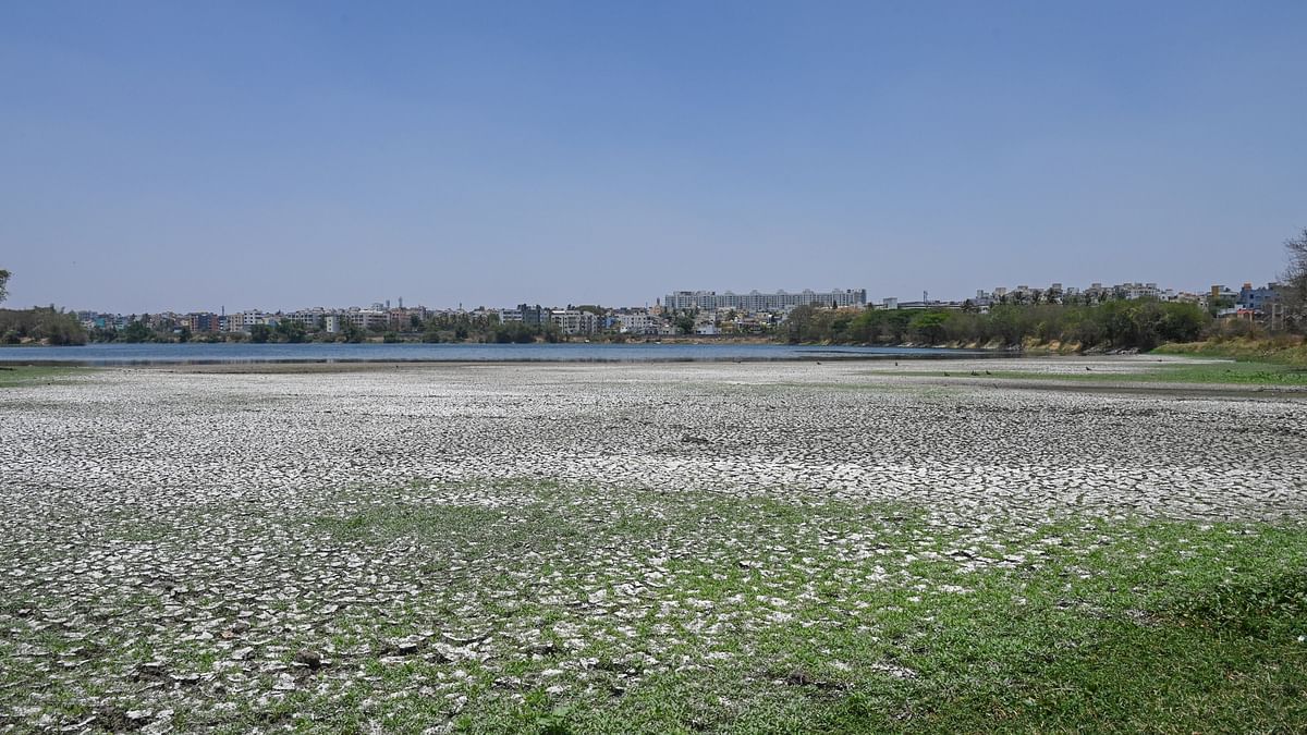 With no takers for tenders, Madiwala Lake rejuvenation comes to a standstill