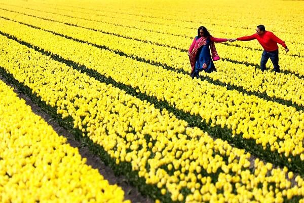 People walk on a tulip field in Lisse, Netherlands April 23, 2024.