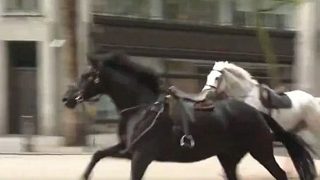 Five runaway military horses cause mayhem in London
