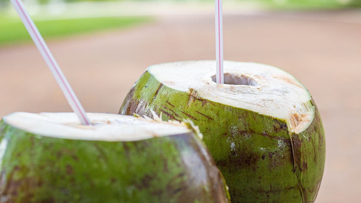 Samples of coconut water from Karnataka's Adyar unit sent for lab tests after 137 fall ill