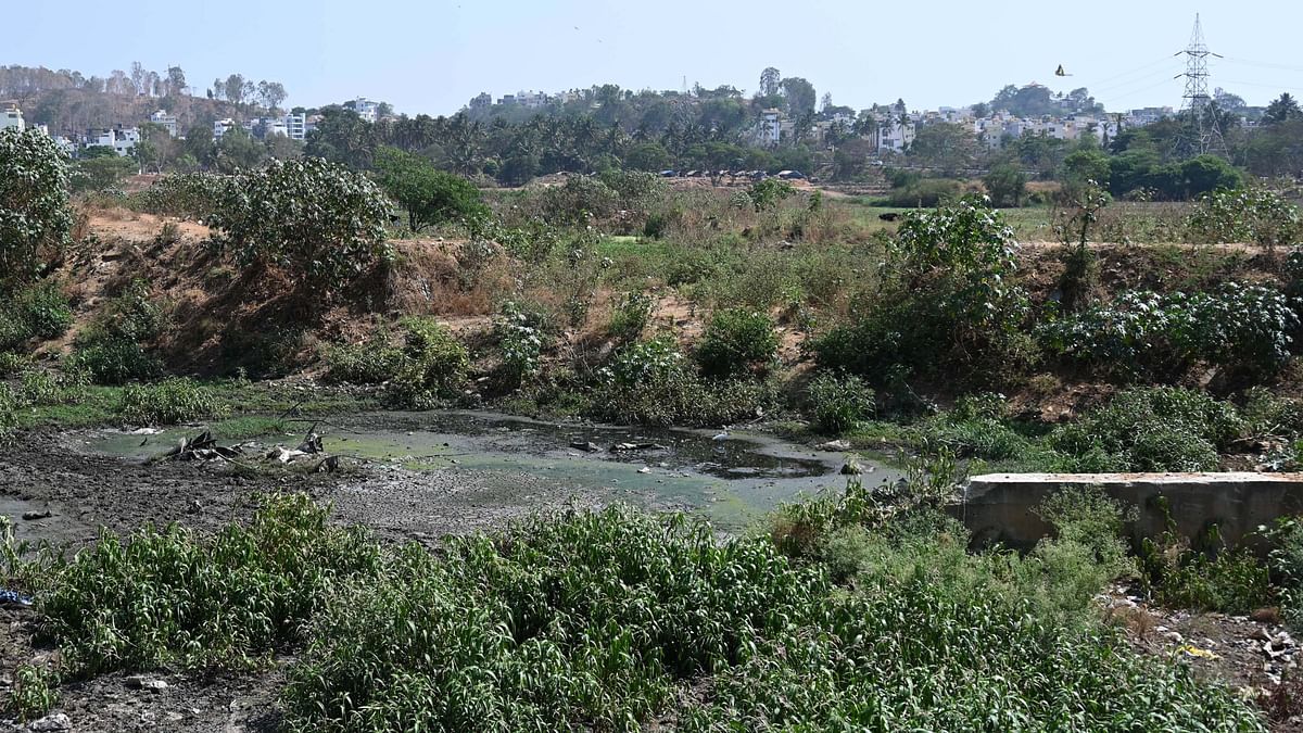 Bengaluru's monsoon prep falls short: 
Only 10 out of 100 proposed lakes get sluice gates in two years