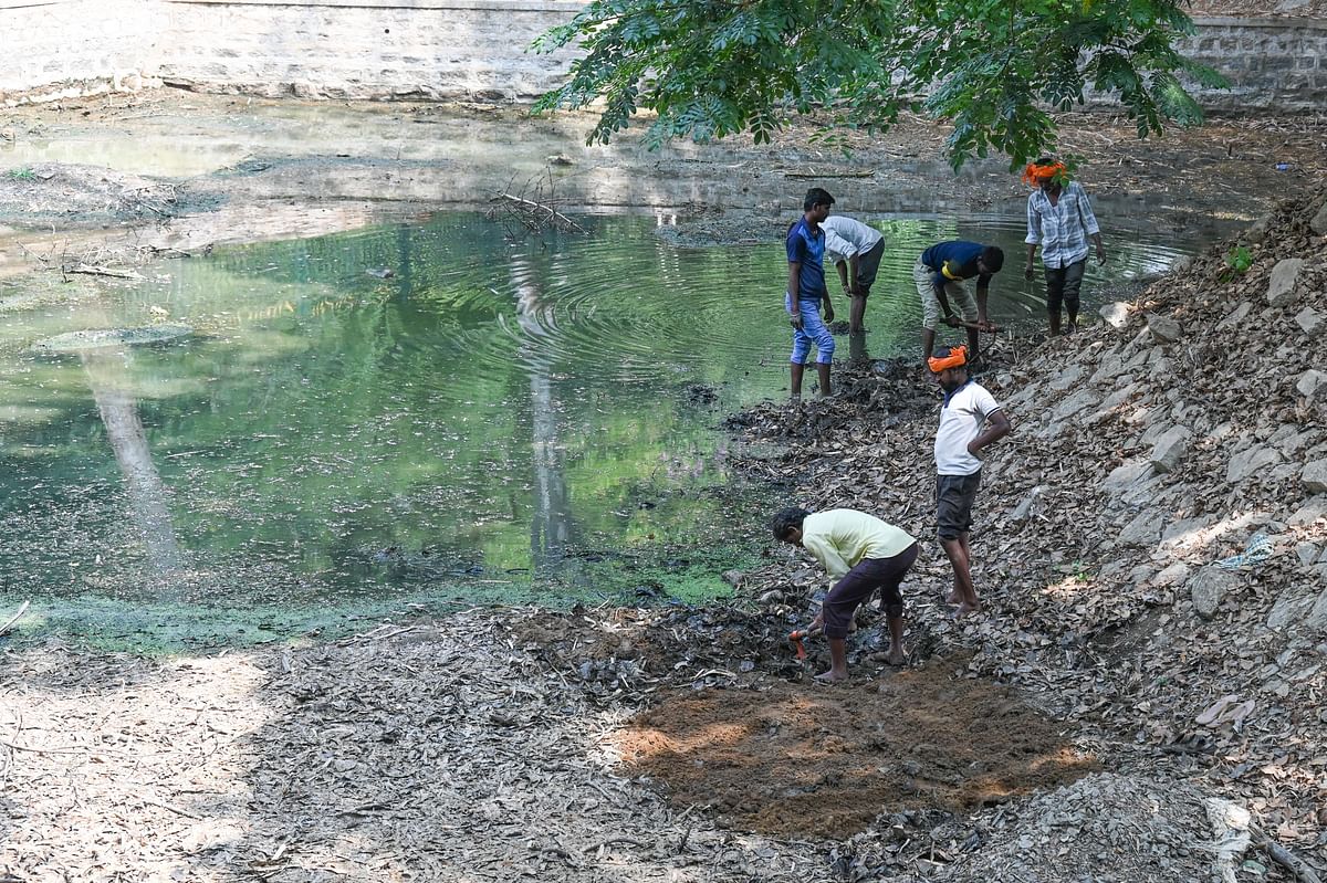 Workers cleaning and renovating lake due to summer lake is dry and lake is prepare for monsoon rain water stock at Cubbon Park in Bengaluru on Saturday 16th March 2024. 
