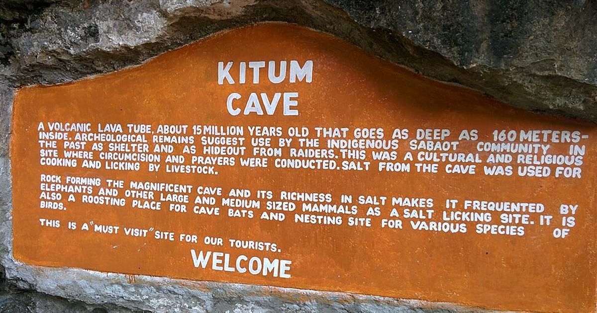 Believed to be the source of Ebola, this Kenya cave could be ground zero for the next pandemic - Deccan Herald