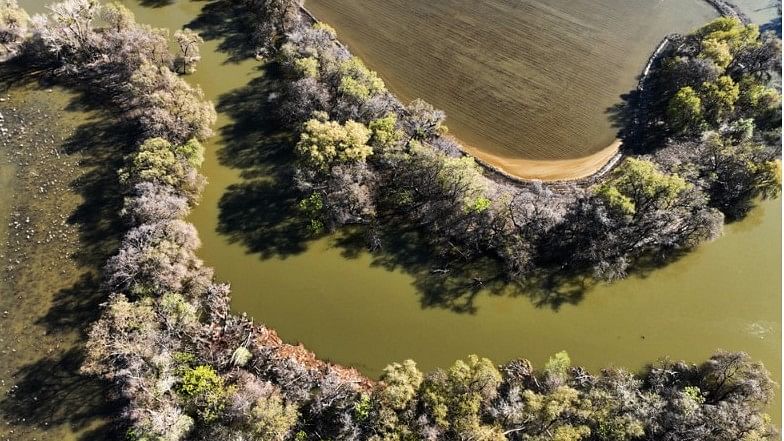 In Northern California, Apple is working with River Partners to restore the natural function of the flood plain on 750 acres where the Sacramento River, Feather River, and Butte Creek meet.
