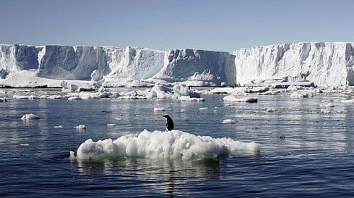 Antarctica’s sea ice hit another low this year— understanding how ocean warming is driving the loss is key