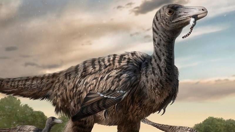 A megaraptor emerges from footprint fossils