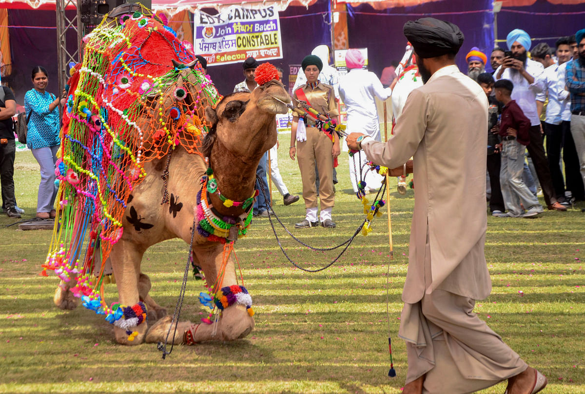 Students in traditional Punjabi attire take part in Baisakhi Fair, in Amritsar, Tuesday.