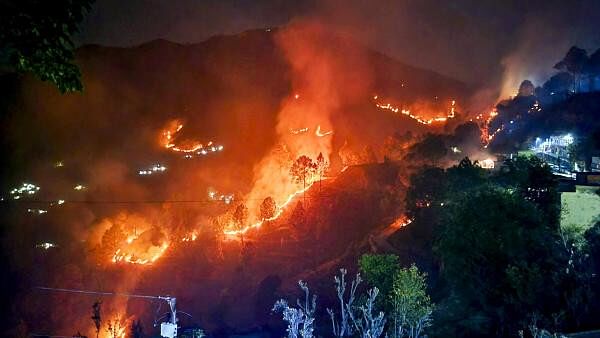 Explained | Uttarakhand forest fire: What ignites a forest fire and how frequent these are in India