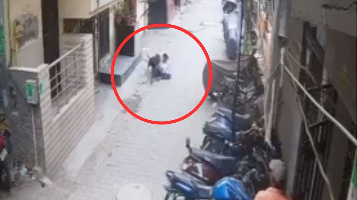 Watch: Pitbull attacks 15-year-old in Ghaziabad; street dogs come to rescue