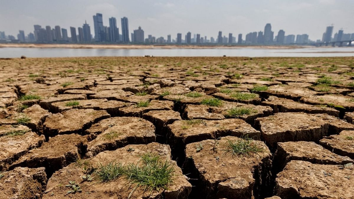 Lok Sabha polls 2024 | Anantapur's agrarian crisis: Voters seek 'drought-proof' promises
