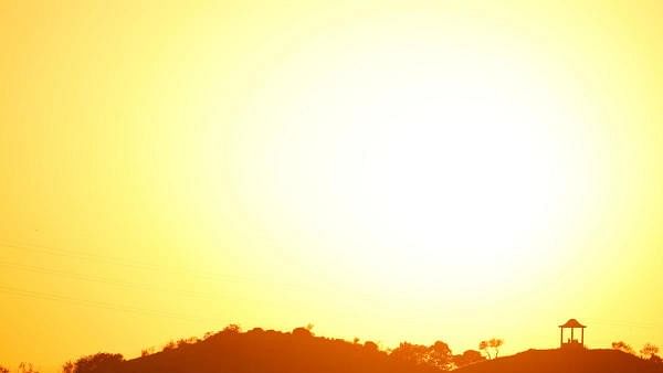 The sun was born when a dense gas cloud collapsed, 4.6 billion years ago