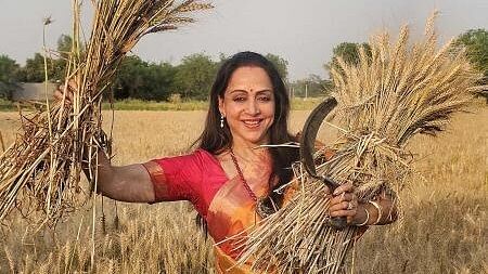 Actor and BJP candidate Hema Malini shows off her harvesting skills while campaigning ahead of Lok Sabha polls, in Mathura district.