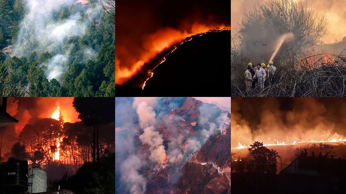 Visuals of forest fire from Himachal Pradesh, Karnataka, Delhi, Uttarakhand, Jammu and Jharkhand.
