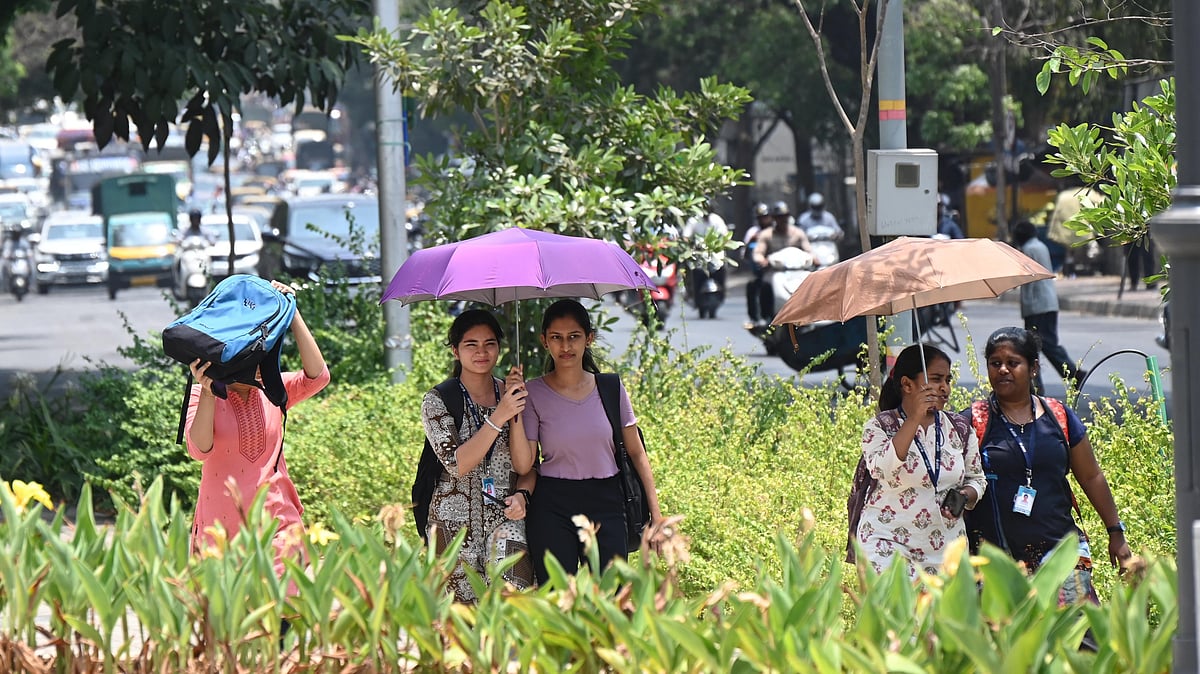 Climate change made India's April heatwave 45 times more likely: Study