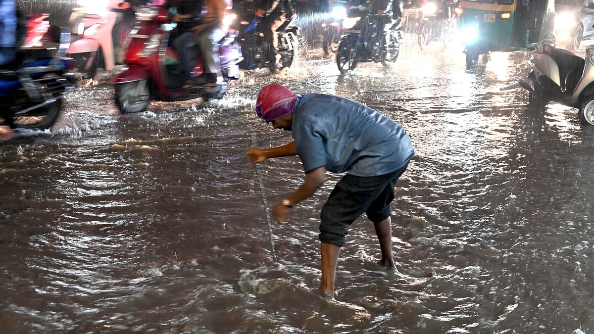 Pre-monsoon showers result in sewage entering Bengaluru lakes 