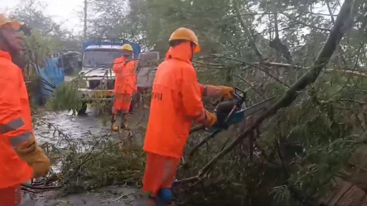 NDRF personnel remove uprooted trees from a road after the landfall of Cyclone 'Remal', at Sandeshkhali in North 24 Parganas district.