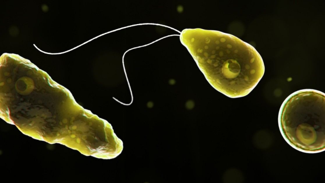 Alert against brain-eating amoeba in Kerala as child gets infected