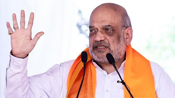 Lok Sabha Elections 2024: AAP 'urban Naxal party', win for candidate backed by it will bring Maoist menace, says Amit Shah