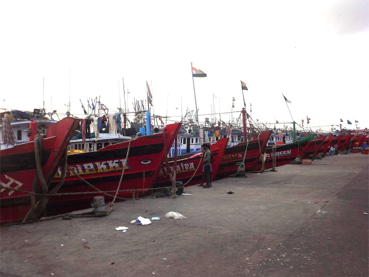 Fishing boats in the dockyard after a night of fishing.