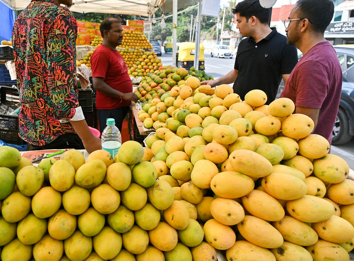 Different varieties of mango stalls at Jayamahal main road Jayamahal in Bengaluru on Tuesday. DH Photo/ B H Shivakumar