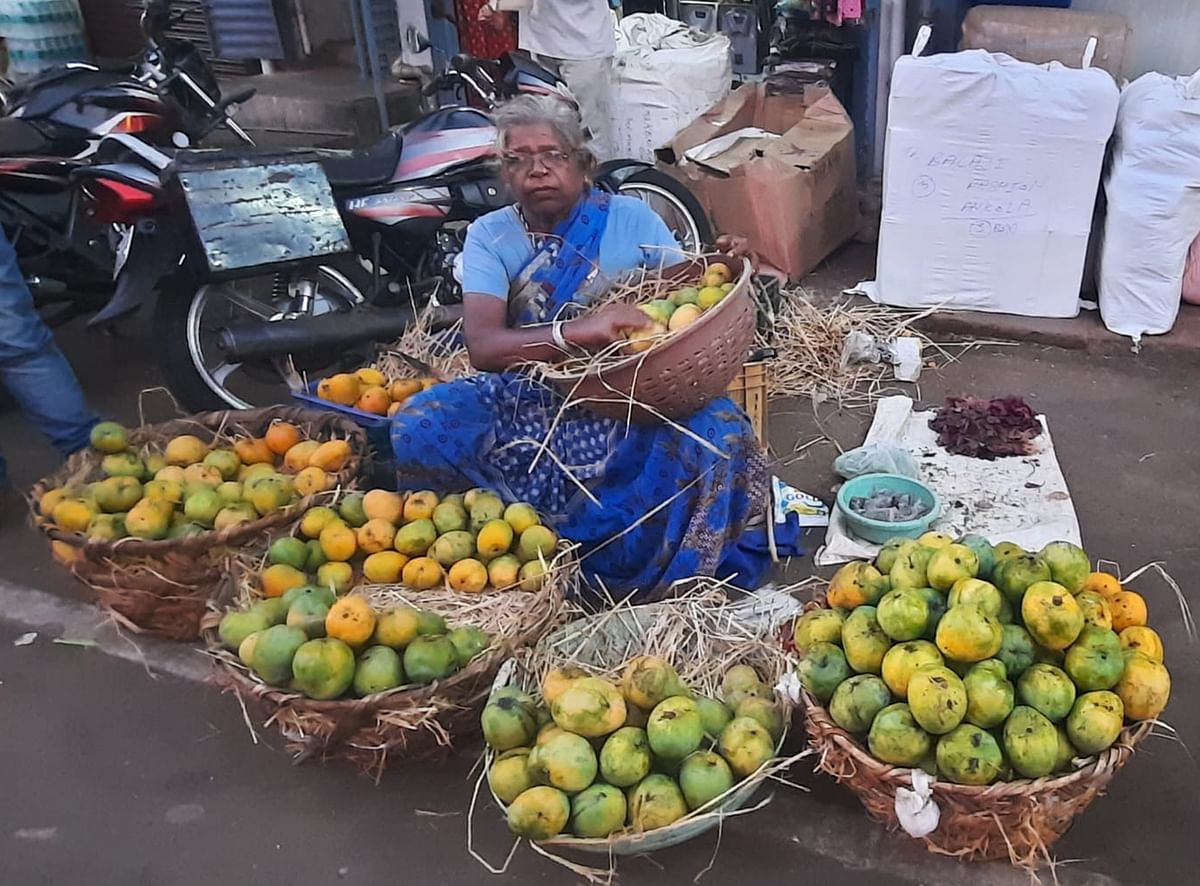 ಅಂಕೋಲಾ ಪಟ್ಟಣದಲ್ಲಿ ಮಹಿಳೆಯೊಬ್ಬರು ಕರಿ ಇಷಾಡ ಮಾವಿನ ಹಣ್ಣು ಮಾರಾಟಕ್ಕೆ ಕುಳಿತಿರುವುದು.