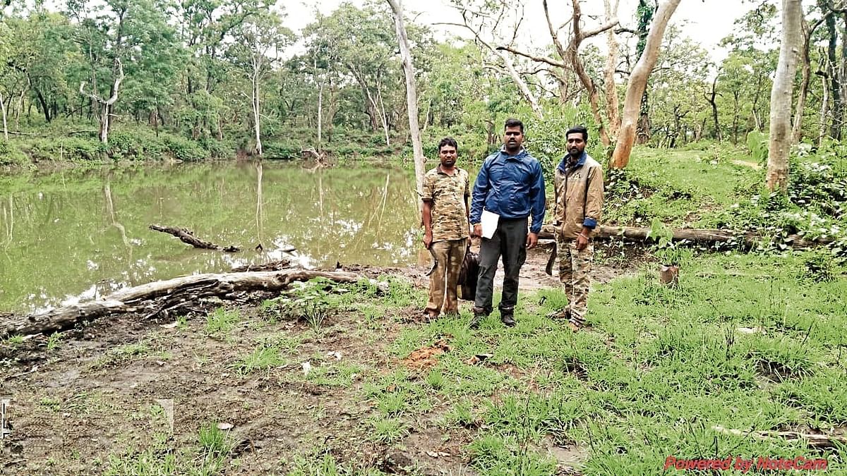 Three-day synchronised elephant population estimation in 10 Forest divisions concludes in Karnataka