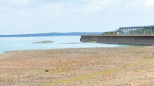 India's reservoirs report water shortage, southern belt worst hit as levels dip to 16%: CWC